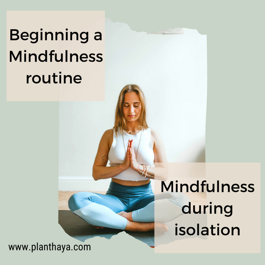 Beginning a Mindfulness routine | Mindfulness during isolation. View More actions
