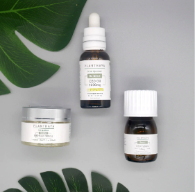 How CBD can help improve your fitness journey - Planthaya