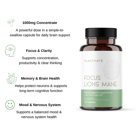 Lions Mane Mushroom | Adaptogenic | Capsules 1000mg
