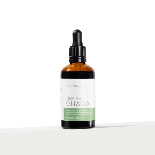 Revive Chaga | Dual-Extracted Chaga Mushroom Tincture