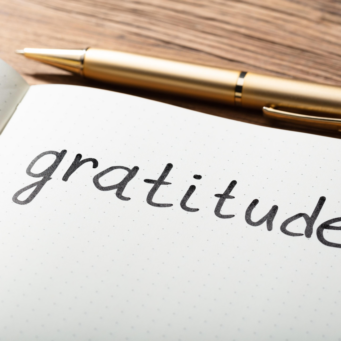 Gratitude is the best attitude - Planthaya