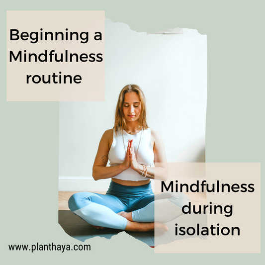 Beginning a Mindfulness routine | Mindfulness during isolation. View More actions 