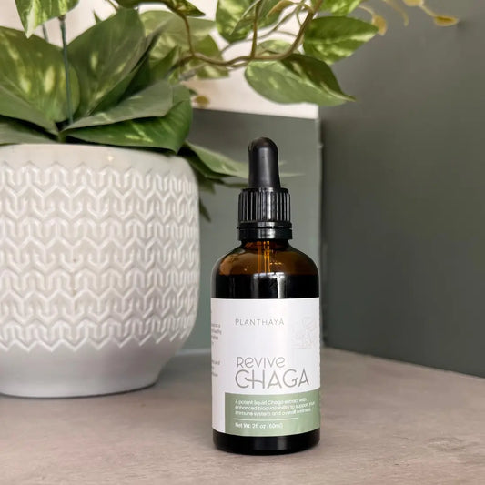 Revive Chaga | Dual-Extracted Chaga Mushroom Tincture