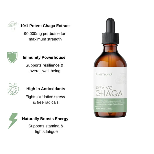 Revive Chaga | Dual-Extracted Chaga Mushroom Tincture